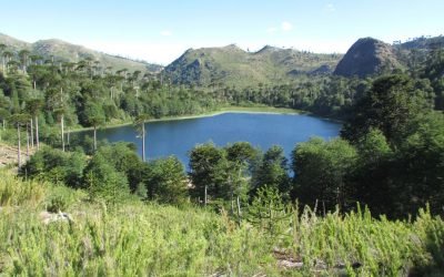 Reserva Nacional Altos de Pemehue